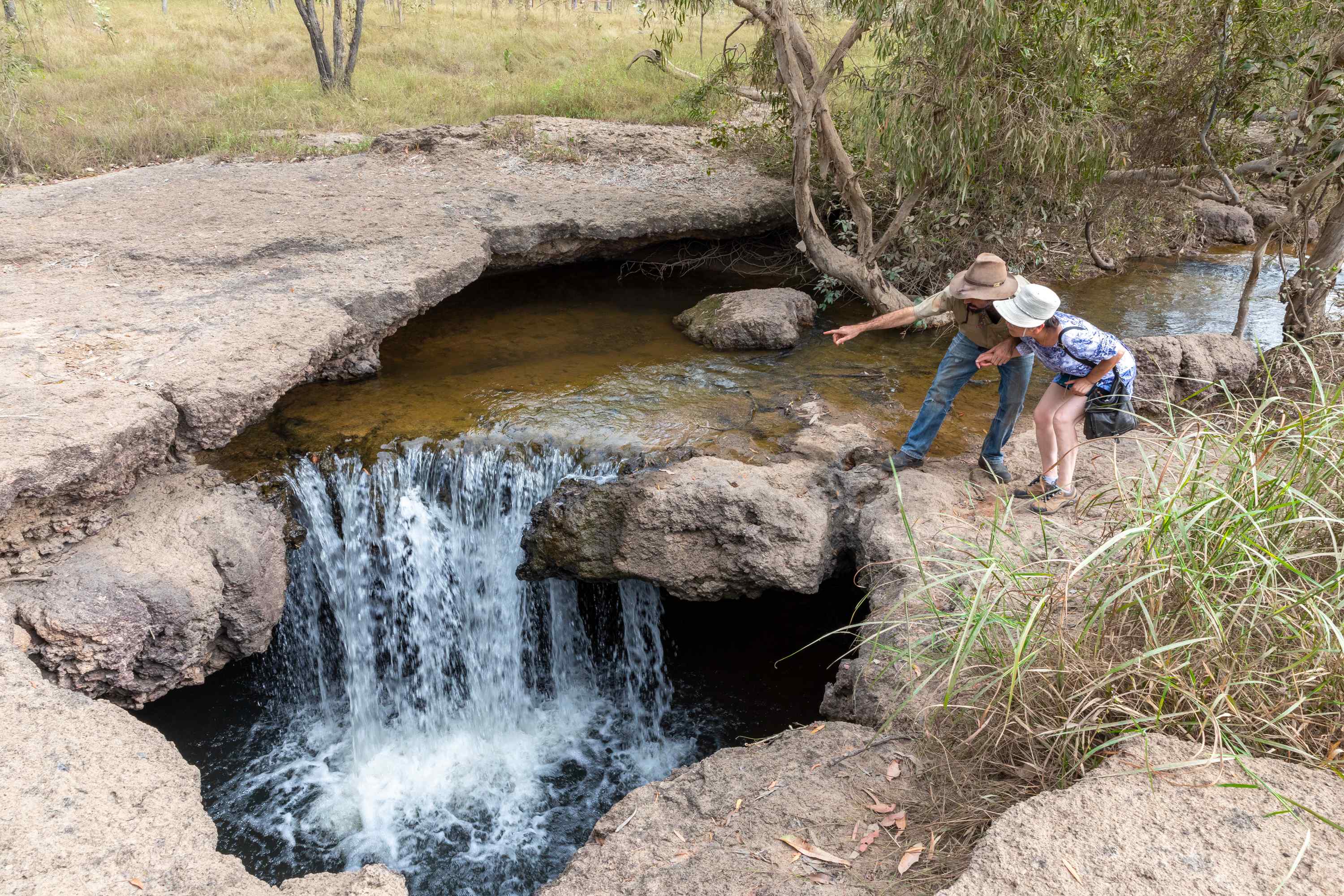 Rinyirru (Lakefield) National Park Far North Escapes